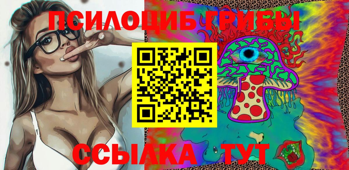 Псилоцибиновые грибы Psilocybine cubensis Шали